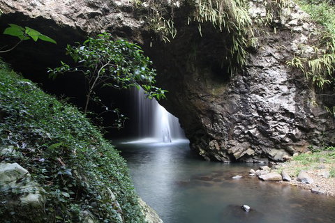 Small-Group 4WD Springbrook National Park Day Trip From Brisbane - Stayed 0