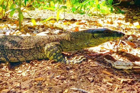 Small-Group 4WD Springbrook National Park Day Trip From Brisbane - Stayed 4