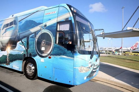 Adult Return Airport Transfer Whitsunday Coast Airport To Airlie Beach - Stays Accommodation 1