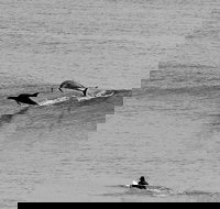 Overnight Tweed Coast Camping and Surfing Getaway From The Gold Coast - Stayed