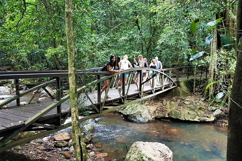 Springbrook Half Day Tour - Stayed 1