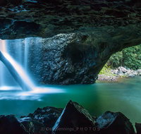 Springbrook Half Day Tour - Stayed