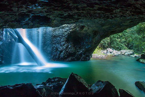 Springbrook Half Day Tour - Stayed 0