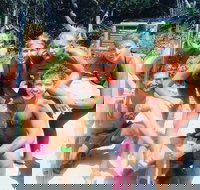 1770 CASTAWAY SURVIVOR 3 Day 2 Night Island Adventure Tour - Stayed