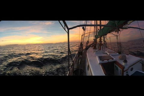 Whitsundays Sunset Sailing Cruise - Stayed 3