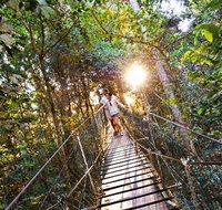 O'Reilly's Lamington National Park and Treetop Canopy Tour - Stayed
