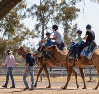 Camel Rides - Stayed