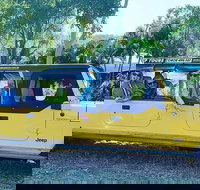 3.5 hour Eco Tour - Stayed