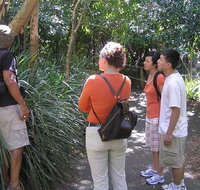 Boomerang Aboriginal Cultural Tours - Stayed