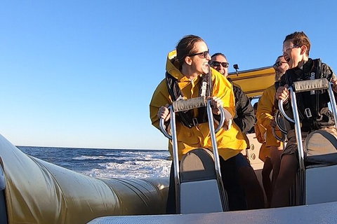 Noosa Oceanrider - Thrill Ride - Stayed 5