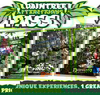 Daintree Atttractions Pass The Best of the Daintree in a Day - Stayed