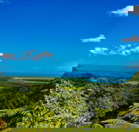 Cape Tribulation Day Tour - Stayed