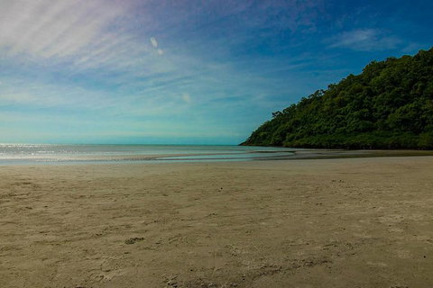 Cape Tribulation Day Tour - Stayed 8