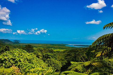 Cape Tribulation Day Tour - Stayed 2