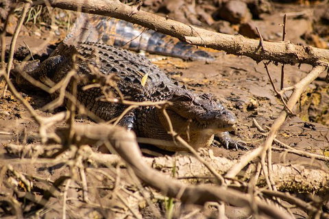Cape Tribulation Day Tour - Stayed 6