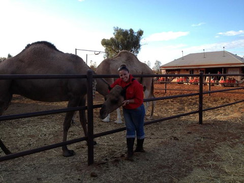 Uluru Small-Group Tour By Camel At Sunrise Or Sunset - Stayed 21