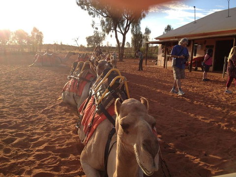 Uluru Small-Group Tour By Camel At Sunrise Or Sunset - Stayed 22