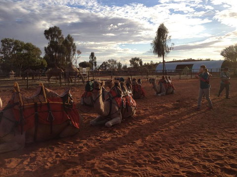 Uluru Small-Group Tour By Camel At Sunrise Or Sunset - Stayed 23