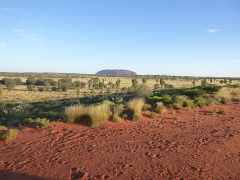 Uluru Small-Group Tour By Camel At Sunrise Or Sunset - Stayed 9