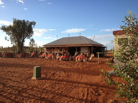 Uluru Small-Group Tour By Camel At Sunrise Or Sunset - Stayed 20