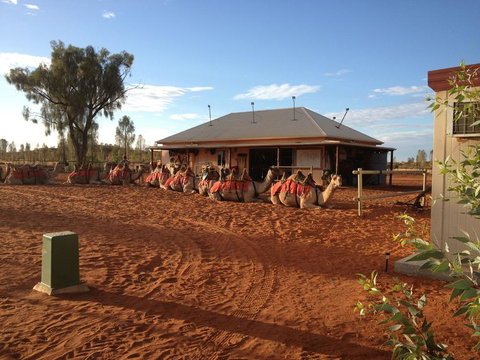 Uluru Small-Group Tour By Camel At Sunrise Or Sunset - Stayed 19