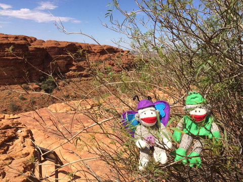 Kings Canyon Day Trip From Ayers Rock - Stayed 23