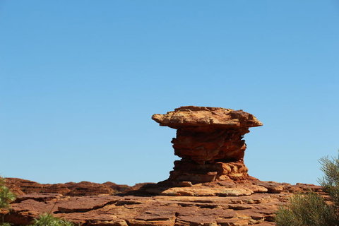 Kings Canyon Day Trip From Ayers Rock - Stayed 17