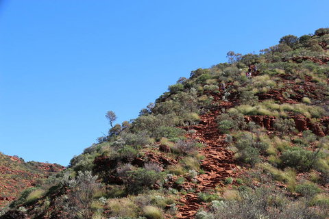 Kings Canyon Day Trip From Ayers Rock - Stayed 21