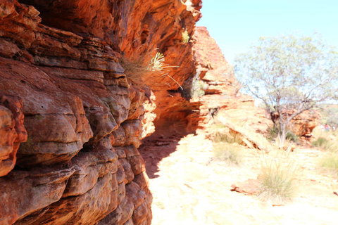 Kings Canyon Day Trip From Ayers Rock - Stayed 20