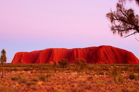 Uluru Small Group Tour Including Sunset - Stayed 1