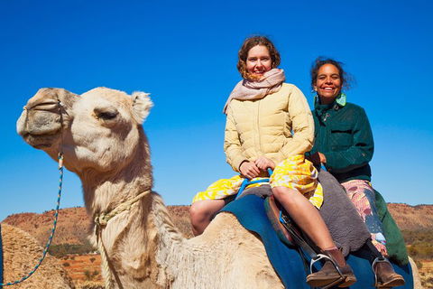 Alice Springs Camel Tour - Stayed 8