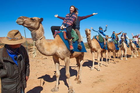 Alice Springs Camel Tour - Stayed 7