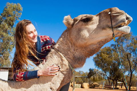 Alice Springs Camel Tour - Stayed 6