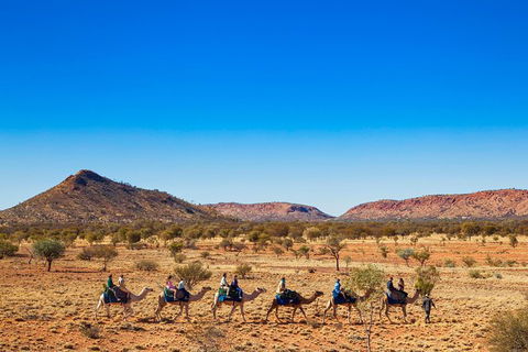 Alice Springs Camel Tour - Stayed 5