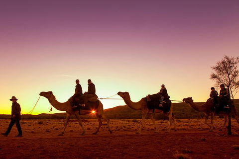 Alice Springs Camel Tour - Stayed 4