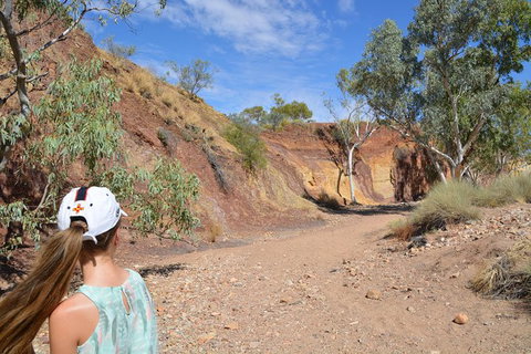 West MacDonnell Ranges Small-Group Full-Day Guided Tour - Stays Accommodation 2