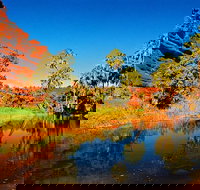 Palm Valley 4WD Day Tour - Stayed