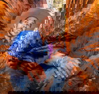 3-Day Red Centre Camping Safari from Alice Springs or Ayers Rock Including Kings Canyon - Stayed