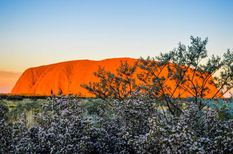 Uluru Sunrise And Kata Tjuta Half Day Trip - Stayed 2