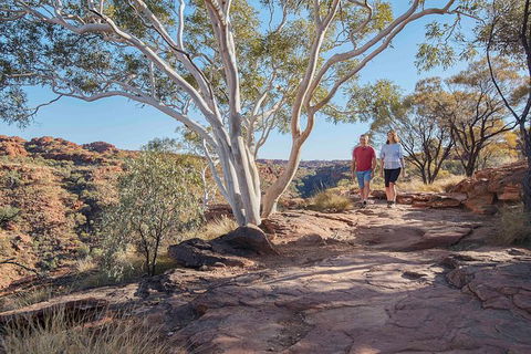 3-Day Tour From Uluru (Ayers Rock) To Alice Springs Via Kings Canyon - Stayed 26