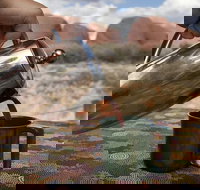 Kata Tjuta Small-Group Tour Including Sunrise and Breakfast - Stayed