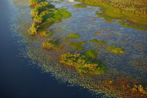 Wildman Half-day Morning Tour - Stayed 1