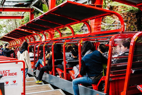 All-Inclusive Blue Mountains Day Trip With River Cruise - Stayed 7