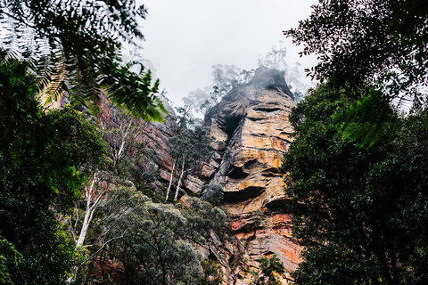 All-Inclusive Blue Mountains Day Trip With River Cruise - Stayed 3