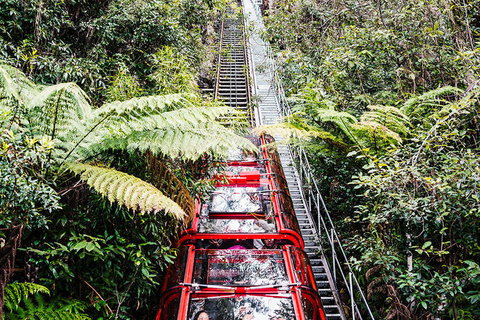 All-Inclusive Blue Mountains Day Trip With River Cruise - Stayed 6