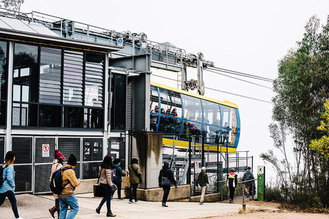 All-Inclusive Blue Mountains Day Trip With River Cruise - Stayed 9