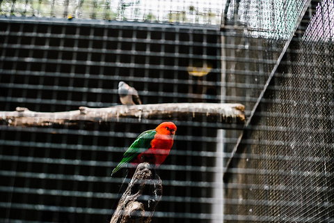 All-Inclusive Blue Mountains Day Trip With River Cruise - Stayed 17