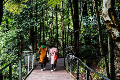 All-Inclusive Blue Mountains Day Trip With River Cruise - Stayed 10