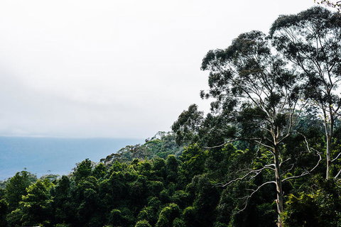 All-Inclusive Blue Mountains Day Trip With River Cruise - Stayed 18