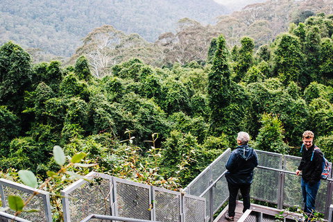 All-Inclusive Blue Mountains Day Trip With River Cruise - Stayed 2